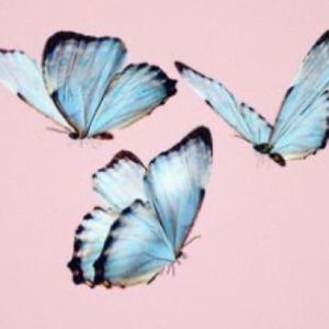 Meet your Posher, Lucy